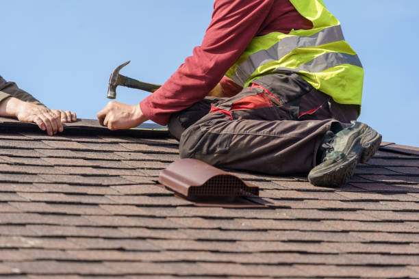 Best Metal Roofing Contractor  in Keokea, HI